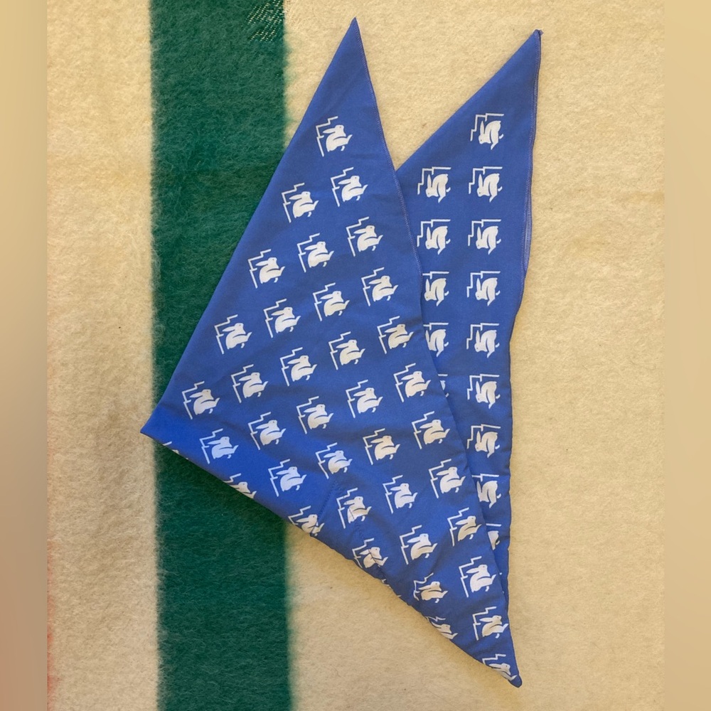 Rabbit ice bandana